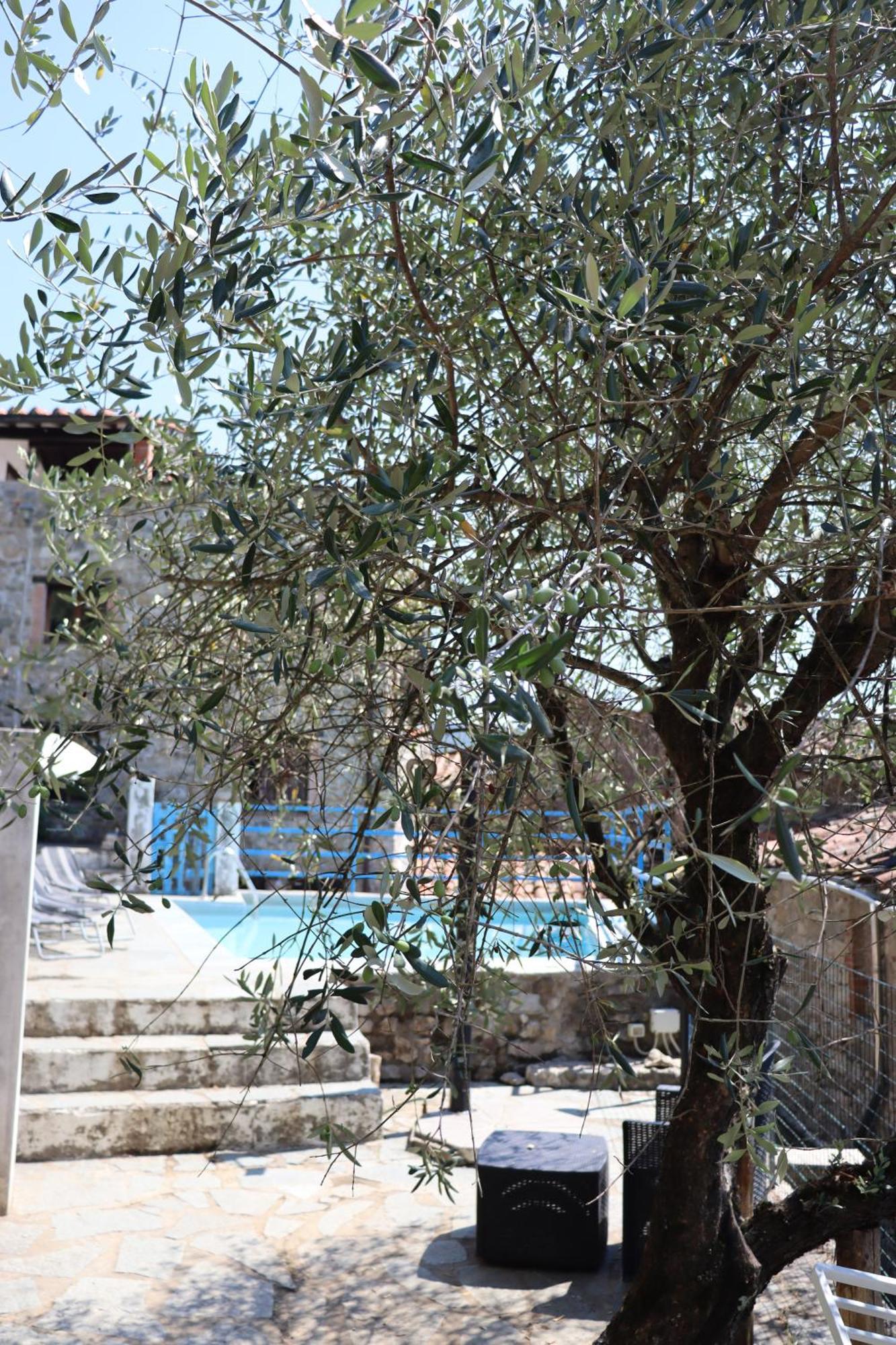Carpe Diem Colognora Villa Vetriano Exterior photo