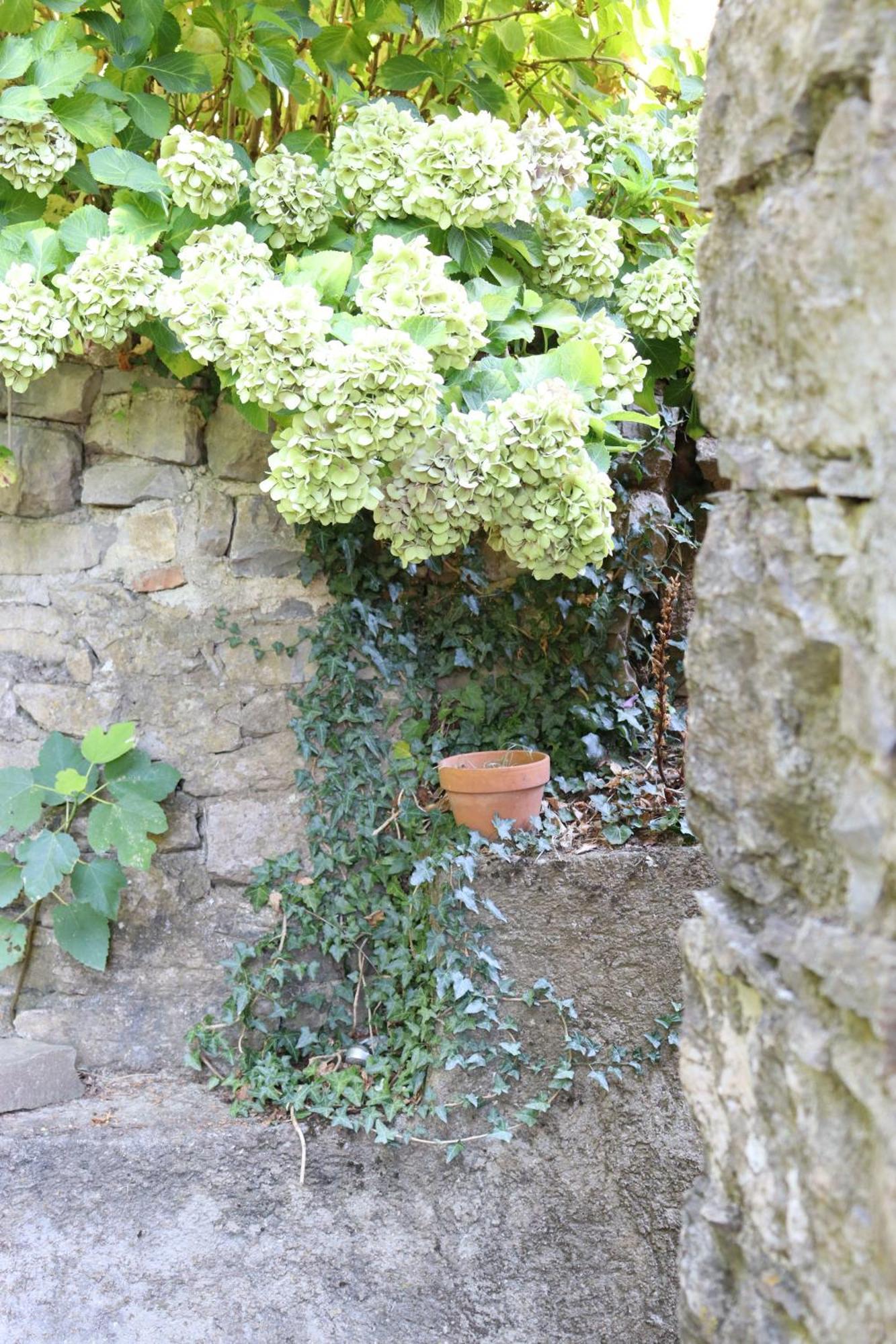 Carpe Diem Colognora Villa Vetriano Exterior photo